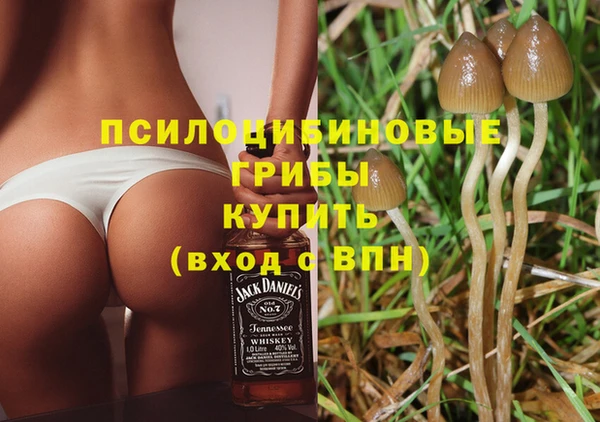 шишки Горно-Алтайск