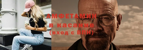 шишки Горно-Алтайск