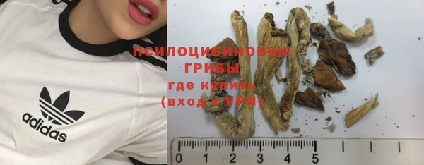 шишки Горно-Алтайск