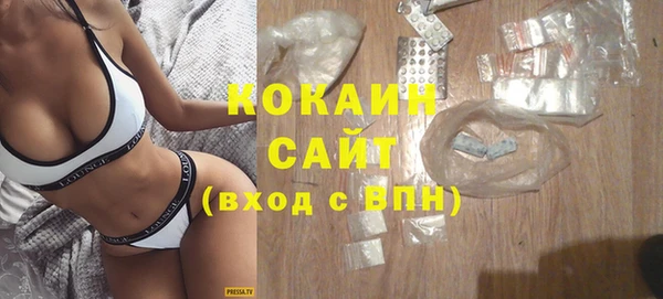 шишки Горно-Алтайск