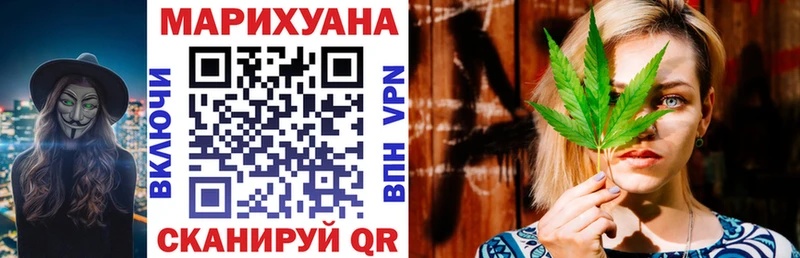 Конопля сатива где найти Могоча
